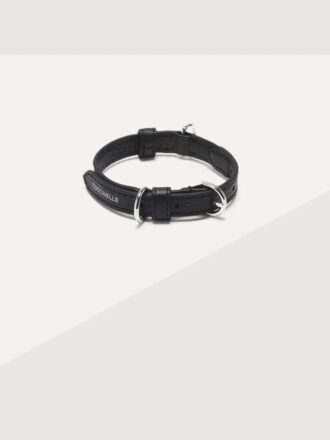 Accesorios para mascotas