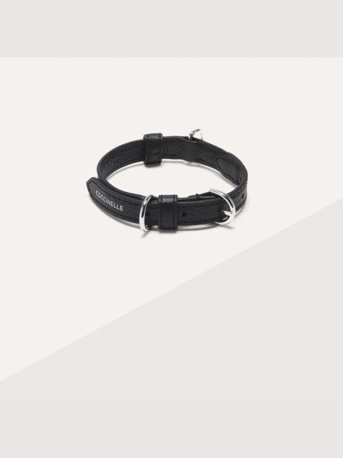 Accesorios para mascotas Accesorios para mascotas