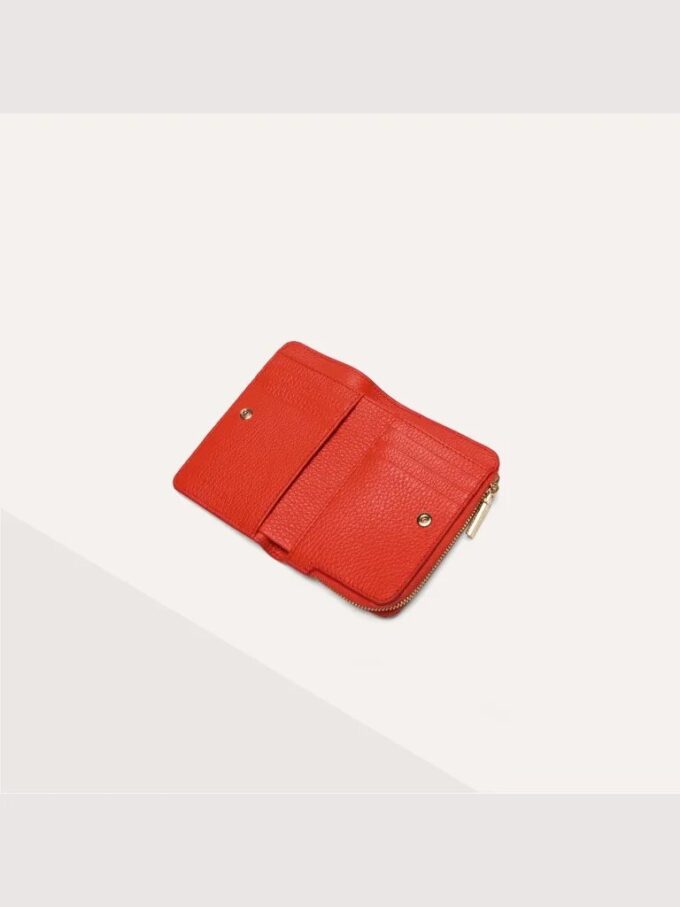 Coccinelle C-Me