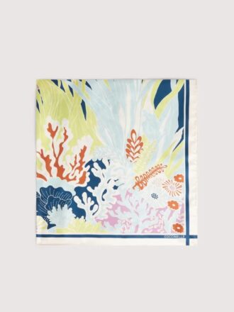 Coccinelle Ocean Depth