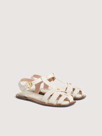 Coccinelle Sunup