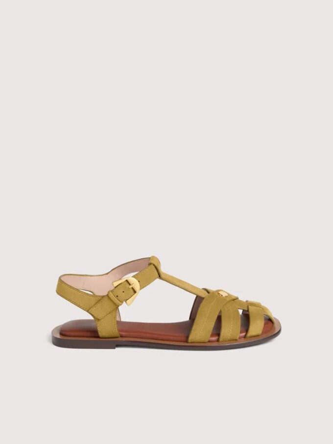 Coccinelle Sunup