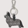 Cápsula para mascotas Cápsula para mascotas